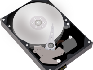 12 TB Festplatte inkl k32 Plots [Digital]